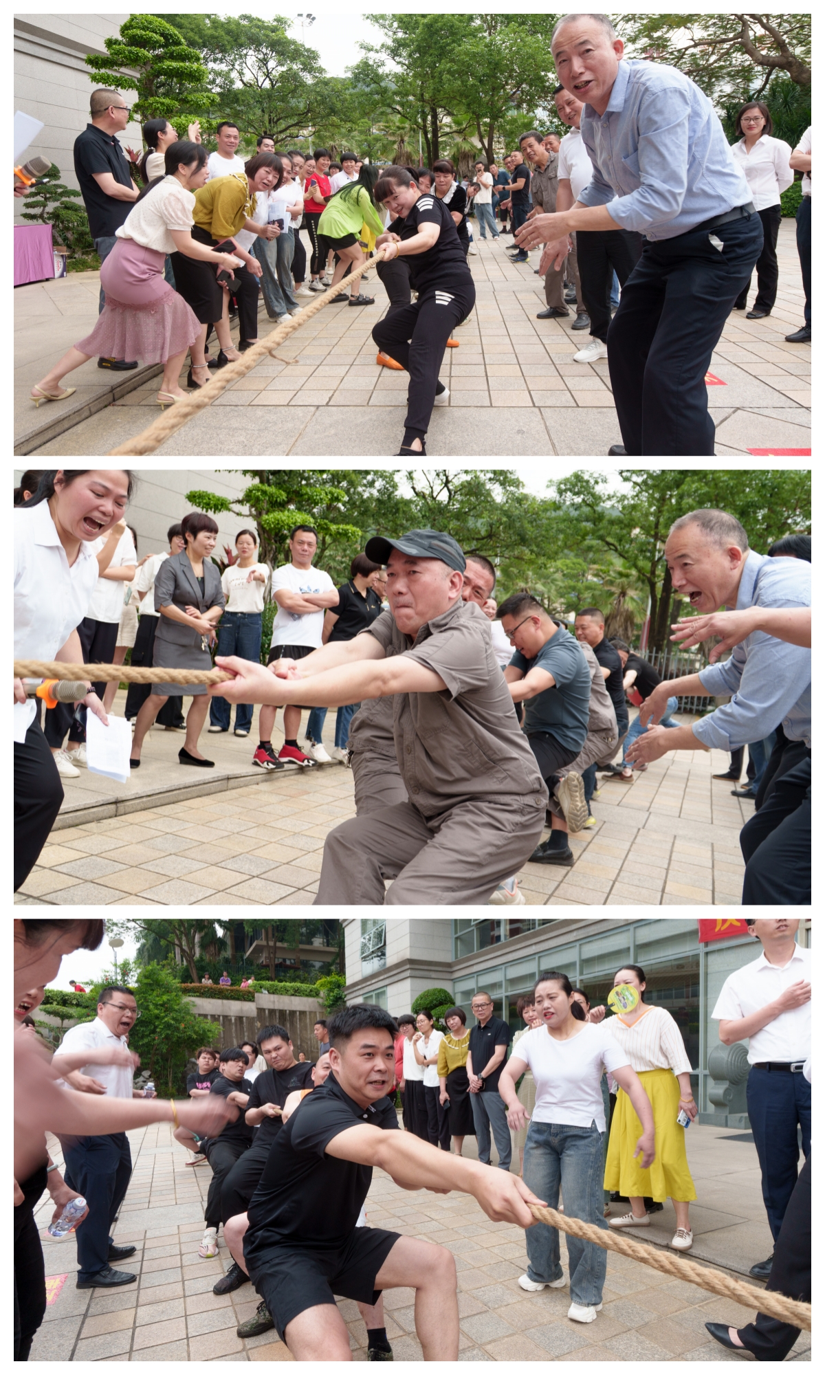 月博·(中国区)官方网站